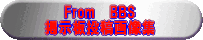 From 　BBS 掲示板投稿画像集 